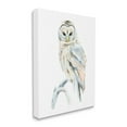 thumbnail image 1 of Stupell Industries Winter Artic Owl Portrait Perched on Tree Branch Canvas Wall Art, 30 x 40, Design by Annie Warren, 1 of 6