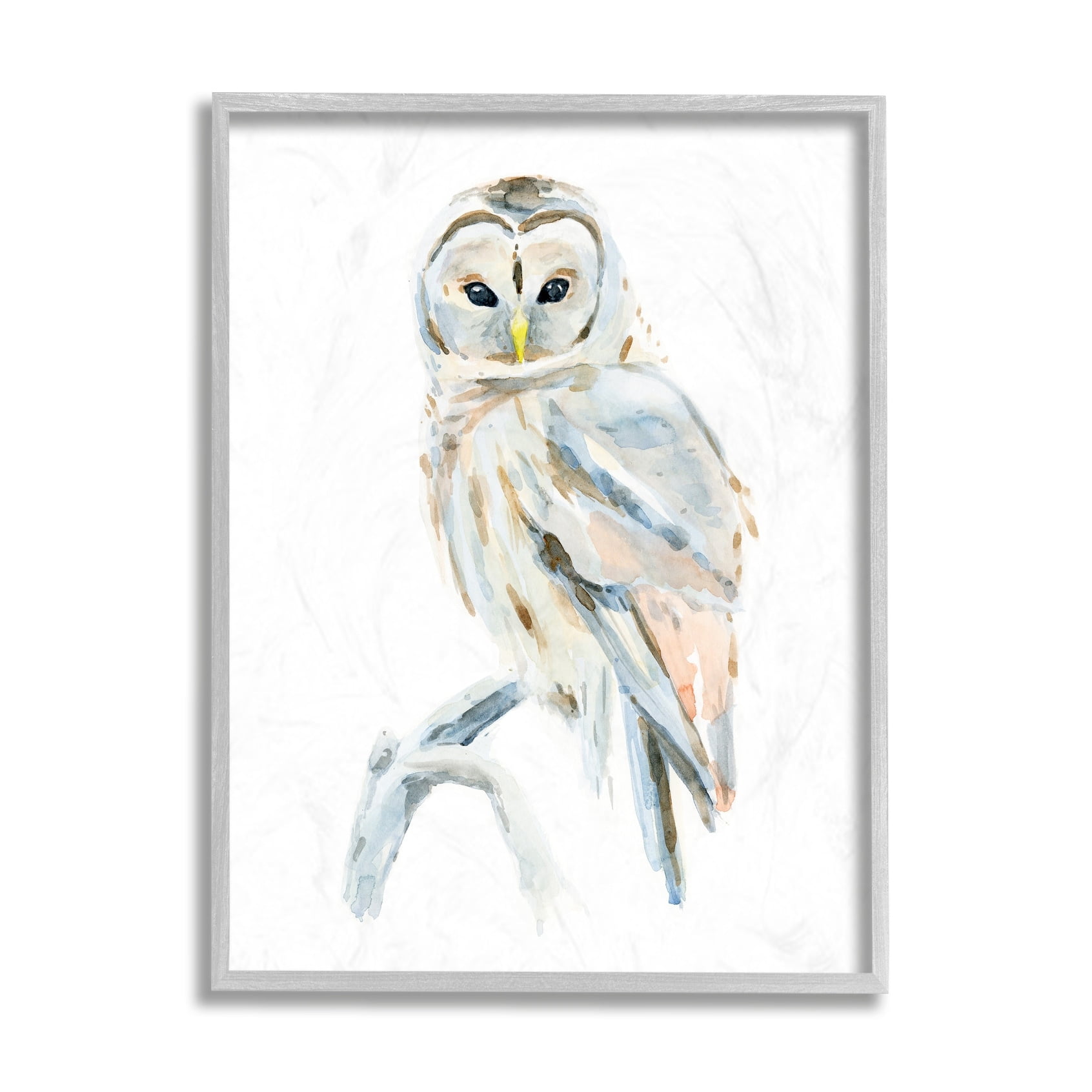 Stupell Industries Winter Artic Owl Portrait Perched on Tree Branch Grey Framed, 16 x 20, Design by Annie Warren