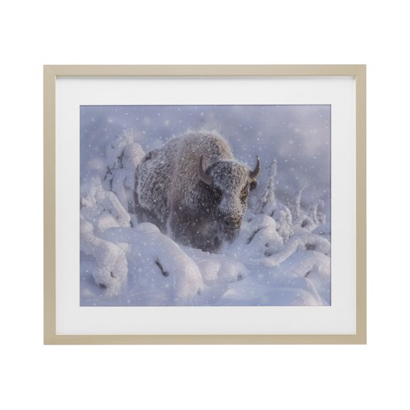 Stupell Industries Winter Bison In Deep Birch Framed Print Under Glass design by Collin Bogle, 17 x 21