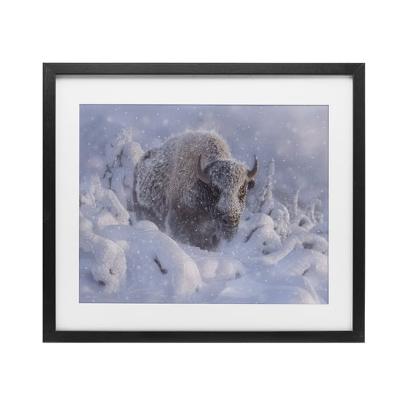 Stupell Industries Winter Bison In Deep Black Framed Print Under Glass design by Collin Bogle, 13 x 16