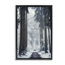 Stupell Industries Winter Fir Path Landscape Photography Black Floater Framed Art Print Wall Art, 17 x 25