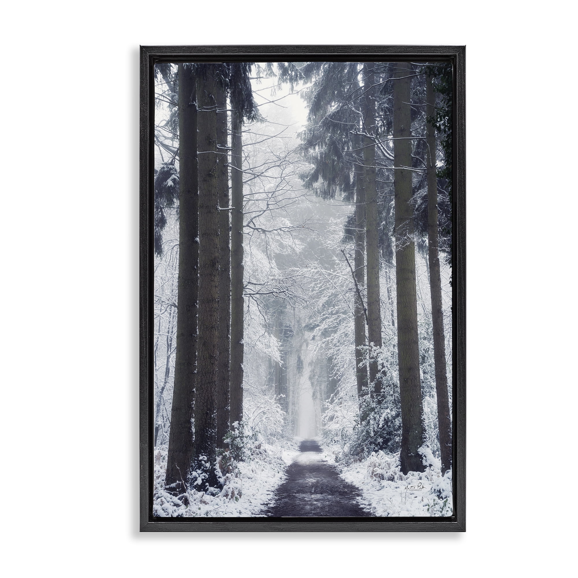 Stupell Industries Winter Fir Path Landscape Photography Black Floater Framed Art Print Wall Art, 21 x 31