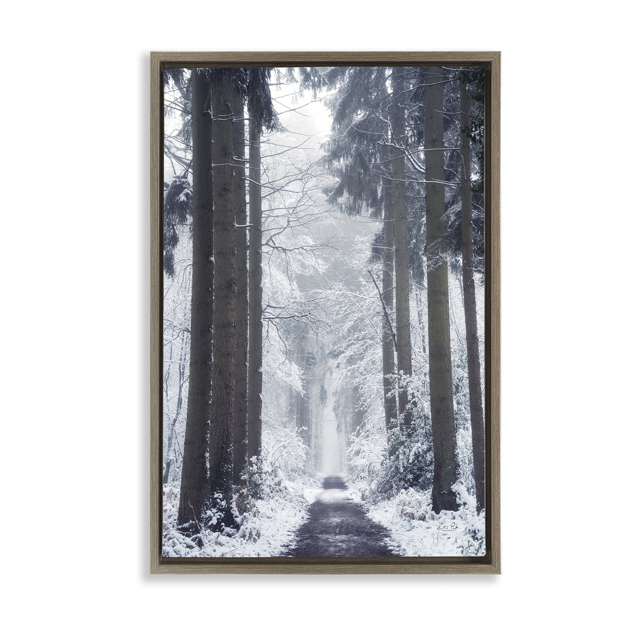 Stupell Industries Winter Fir Path Landscape Photography Brown Floater Framed Art Print Wall Art, 17 x 25