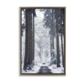 thumbnail image 1 of Stupell Industries Winter Fir Path Landscape Photography Brown Floater Framed Art Print Wall Art, 21 x 31, 1 of 10
