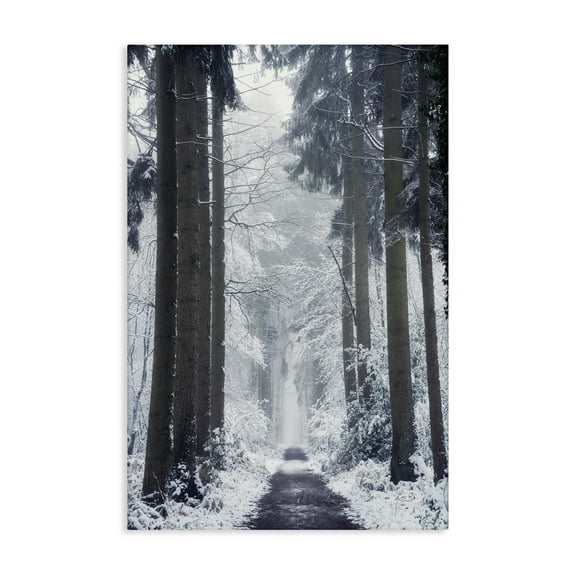 Stupell Industries Winter Fir Path Landscape Photography Gallery Wrapped Canvas Art Print Wall Art, 16 x 24