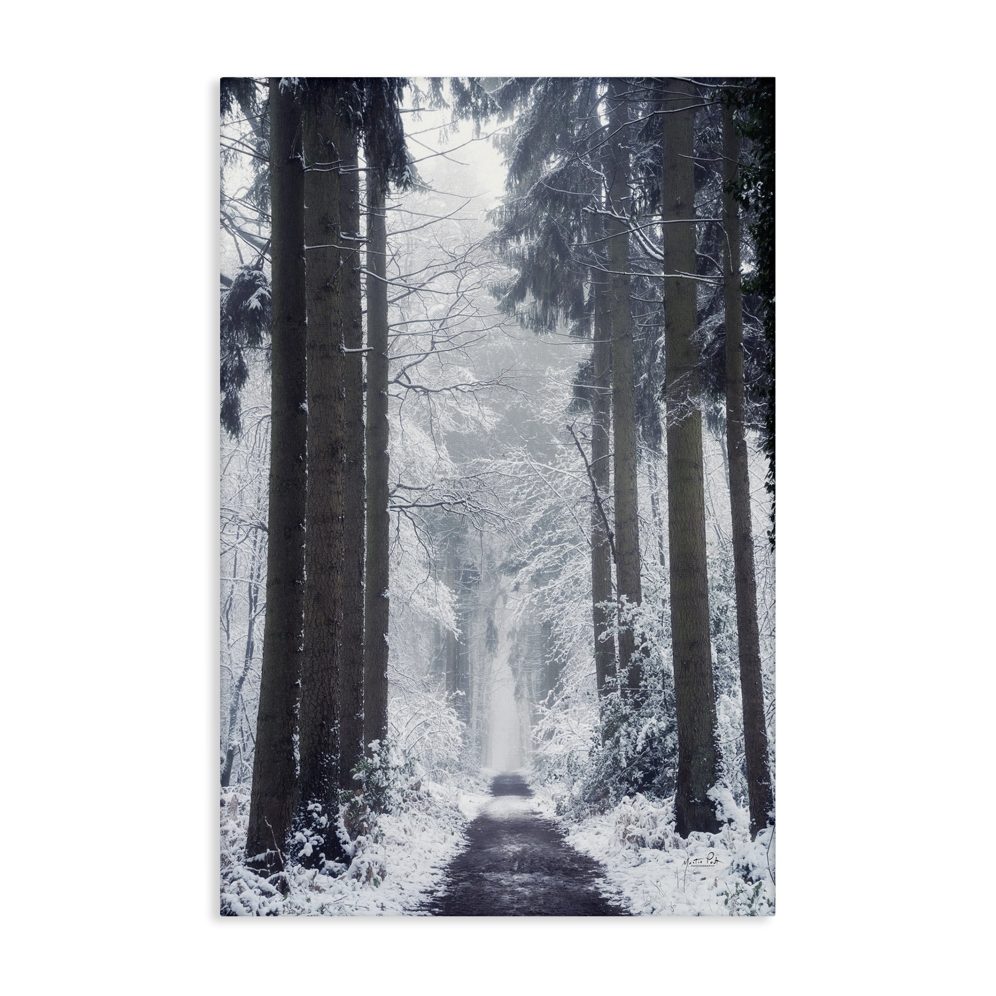 Stupell Industries Winter Fir Path Landscape Photography Gallery Wrapped Canvas Art Print Wall Art, 30 x 45