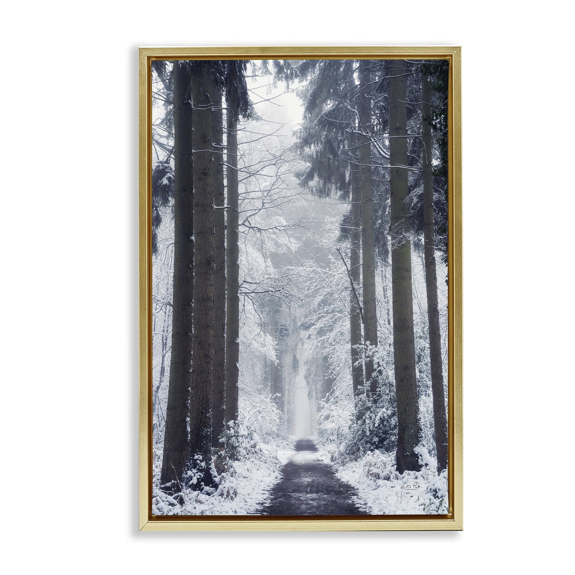 Stupell Industries Winter Fir Path Landscape Photography Gold Floater Framed Art Print Wall Art, 17 x 25