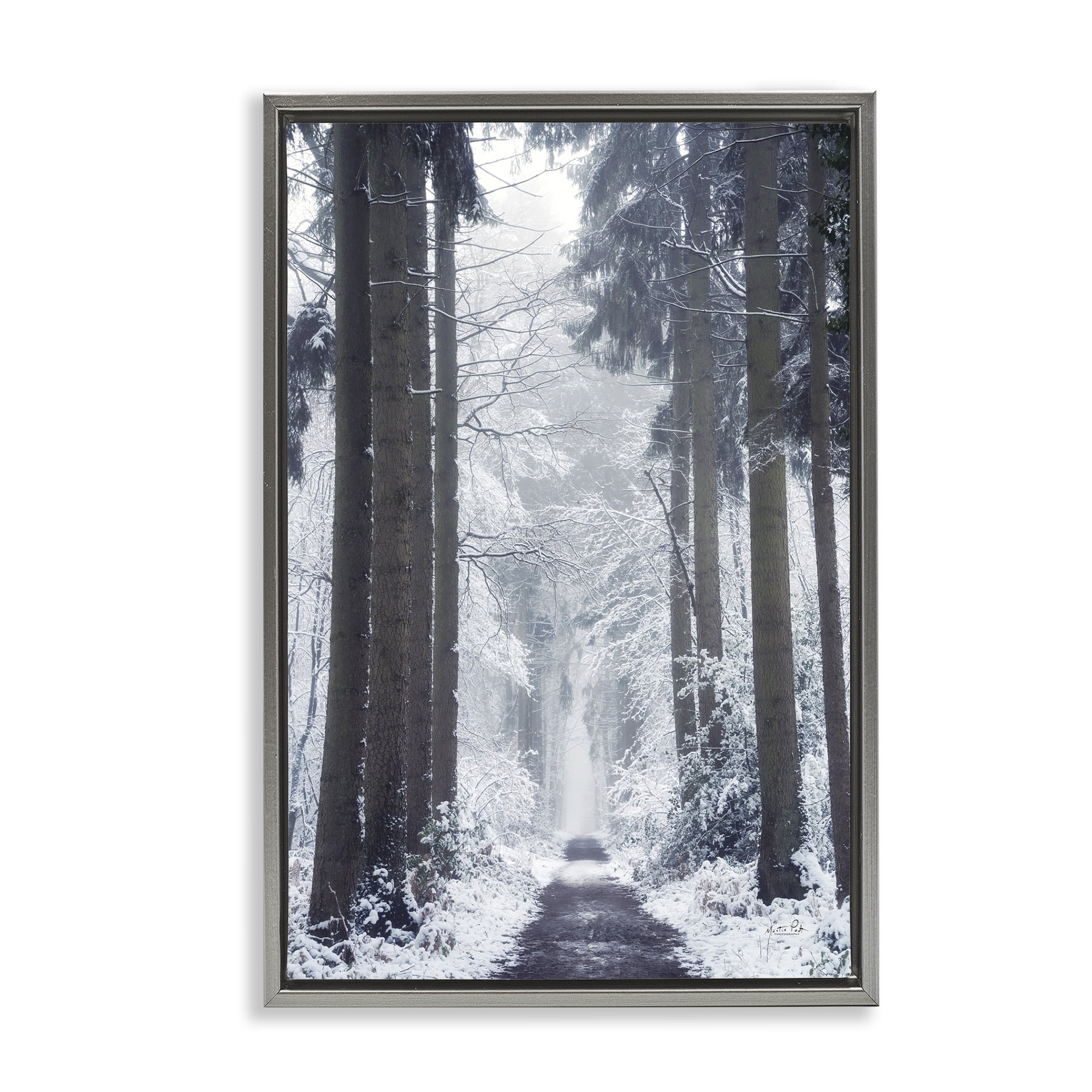 Stupell Industries Winter Fir Path Landscape Photography Gray Floater Framed Art Print Wall Art, 21 x 31