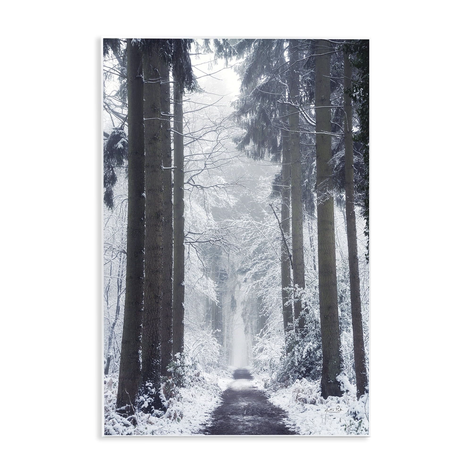 Stupell Industries Winter Fir Path Landscape Photography Unframed Art Print Wall Art, 13 x 19