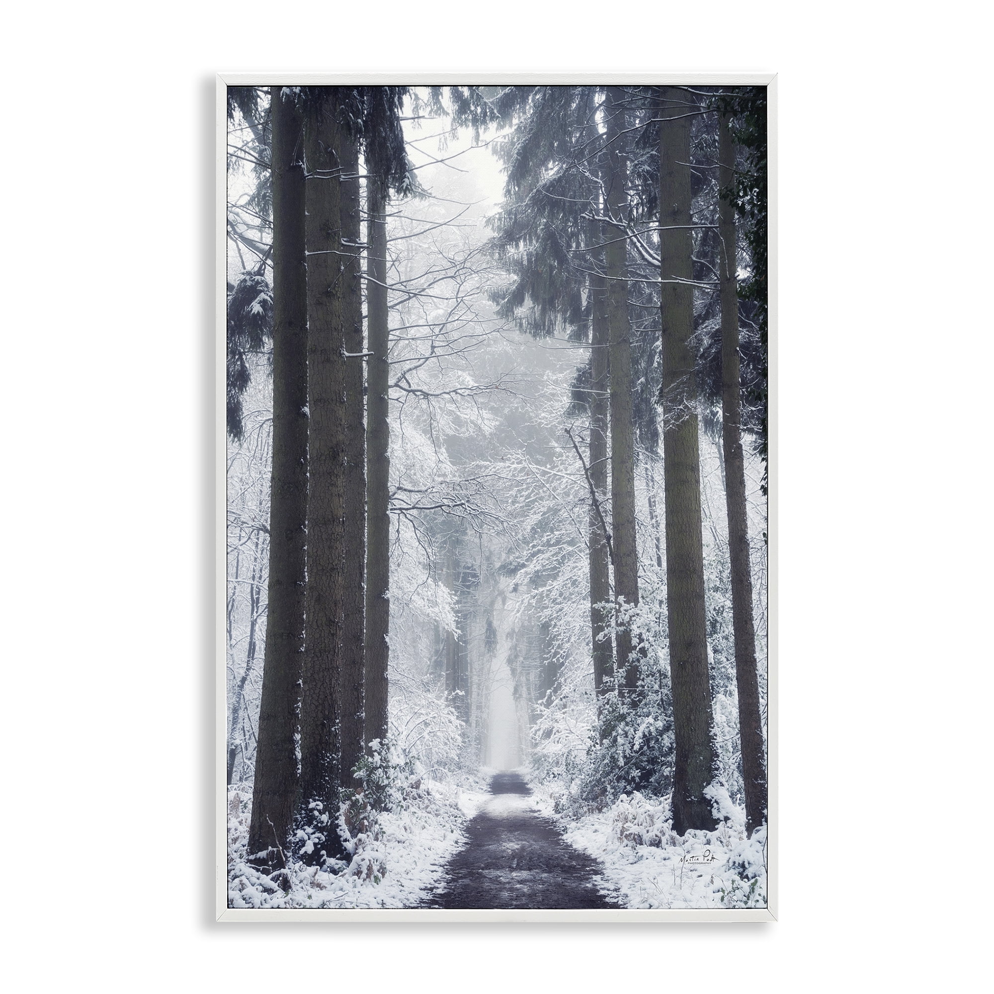 Stupell Industries Winter Fir Path Landscape Photography White Framed Art Print Wall Art, 20 x 30