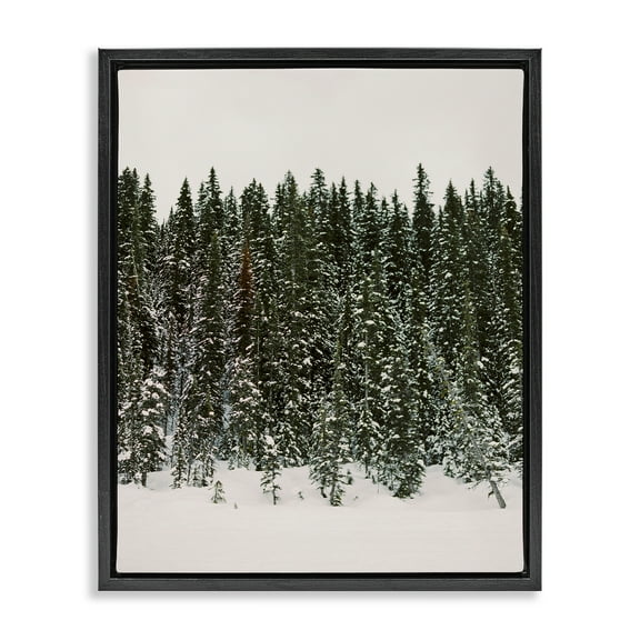 Stupell Industries Winter Forest Grove Landscape Photography Black Floater Framed Art Print Wall Art, 17 x 21