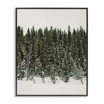 Stupell Industries Winter Forest Grove Landscape Photography Black Framed Art Print Wall Art, 11 x 14