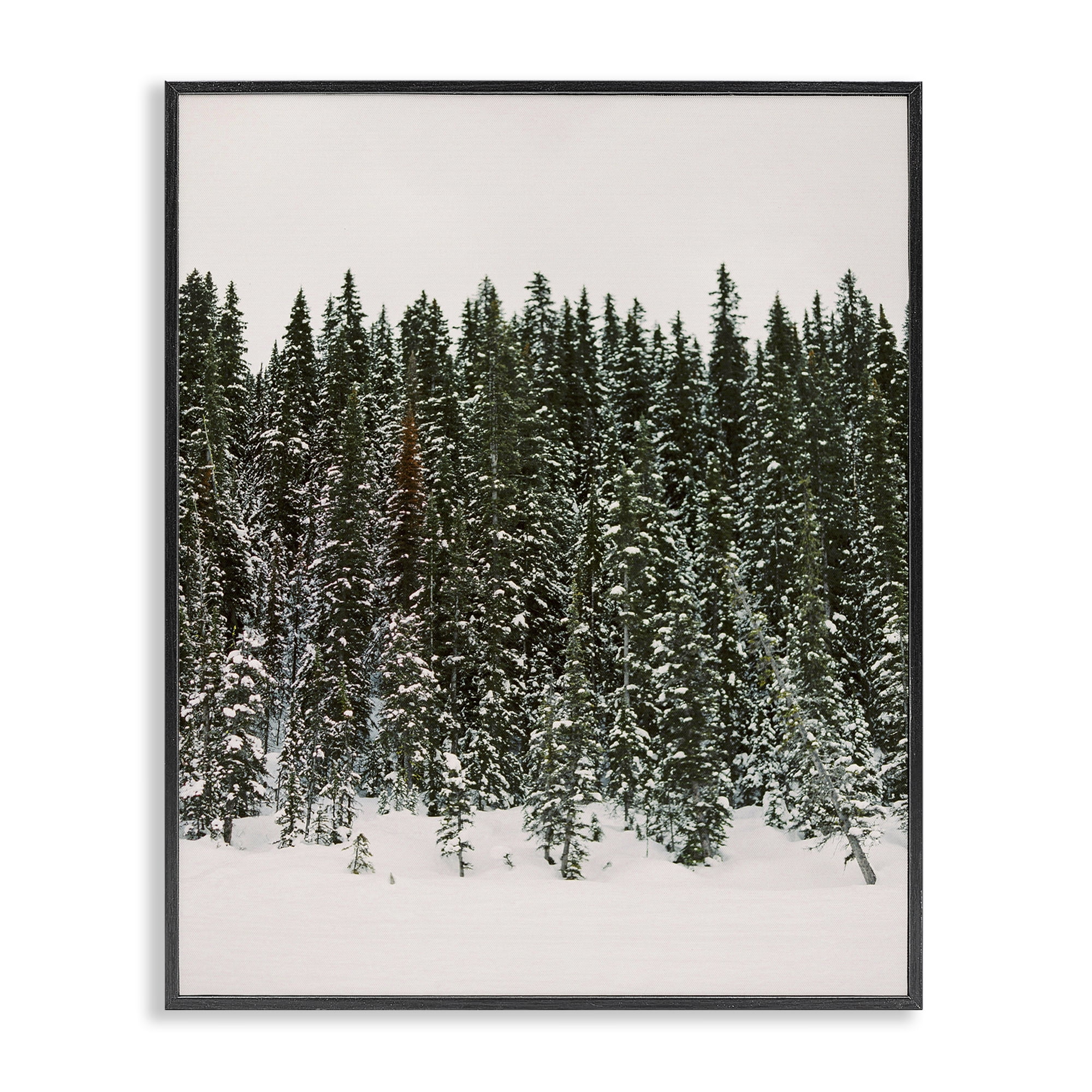 Stupell Industries Winter Forest Grove Landscape Photography Black Framed Art Print Wall Art, 24 x 30