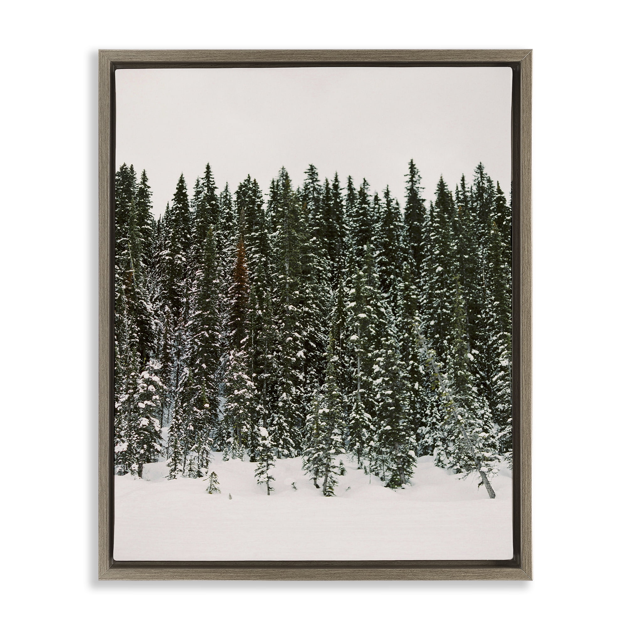 Stupell Industries Winter Forest Grove Landscape Photography Brown Floater Framed Art Print Wall Art, 25 x 31