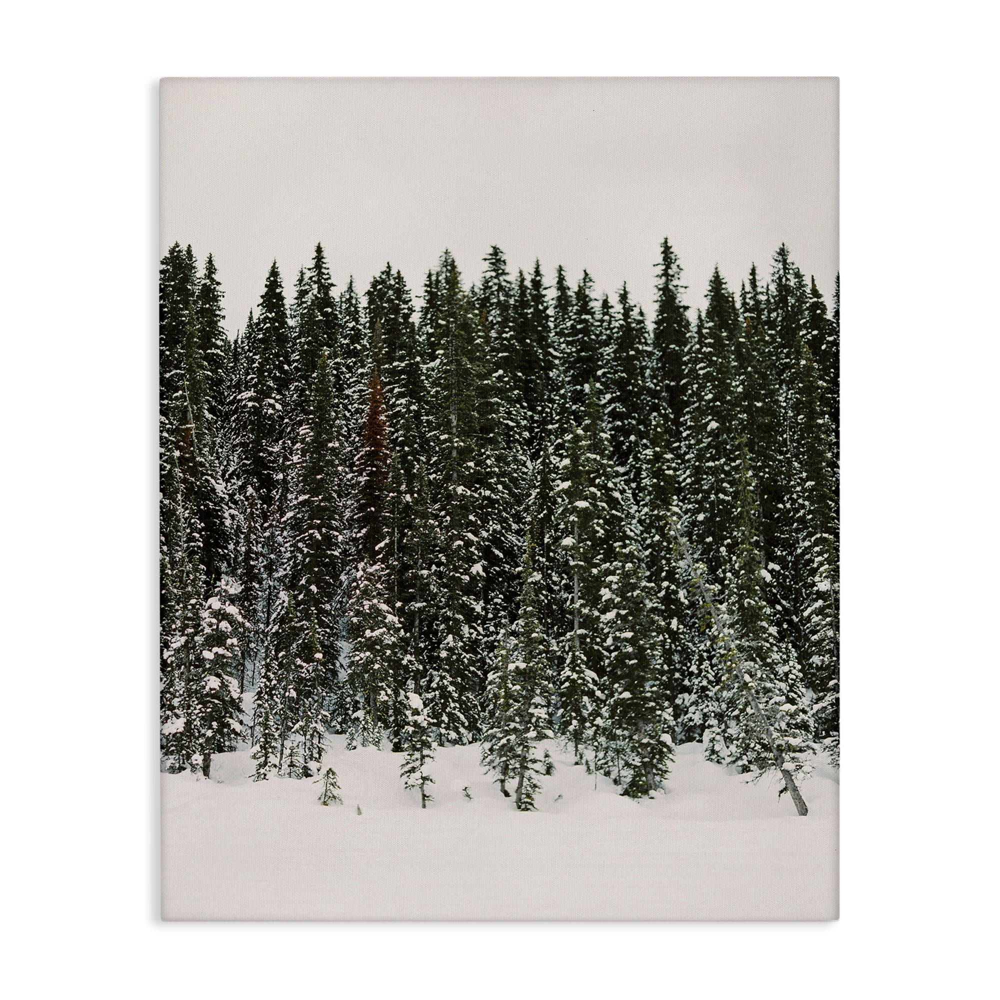 Winter Forest Grove Landscape Canvas Print in Green and White, 30 x 40