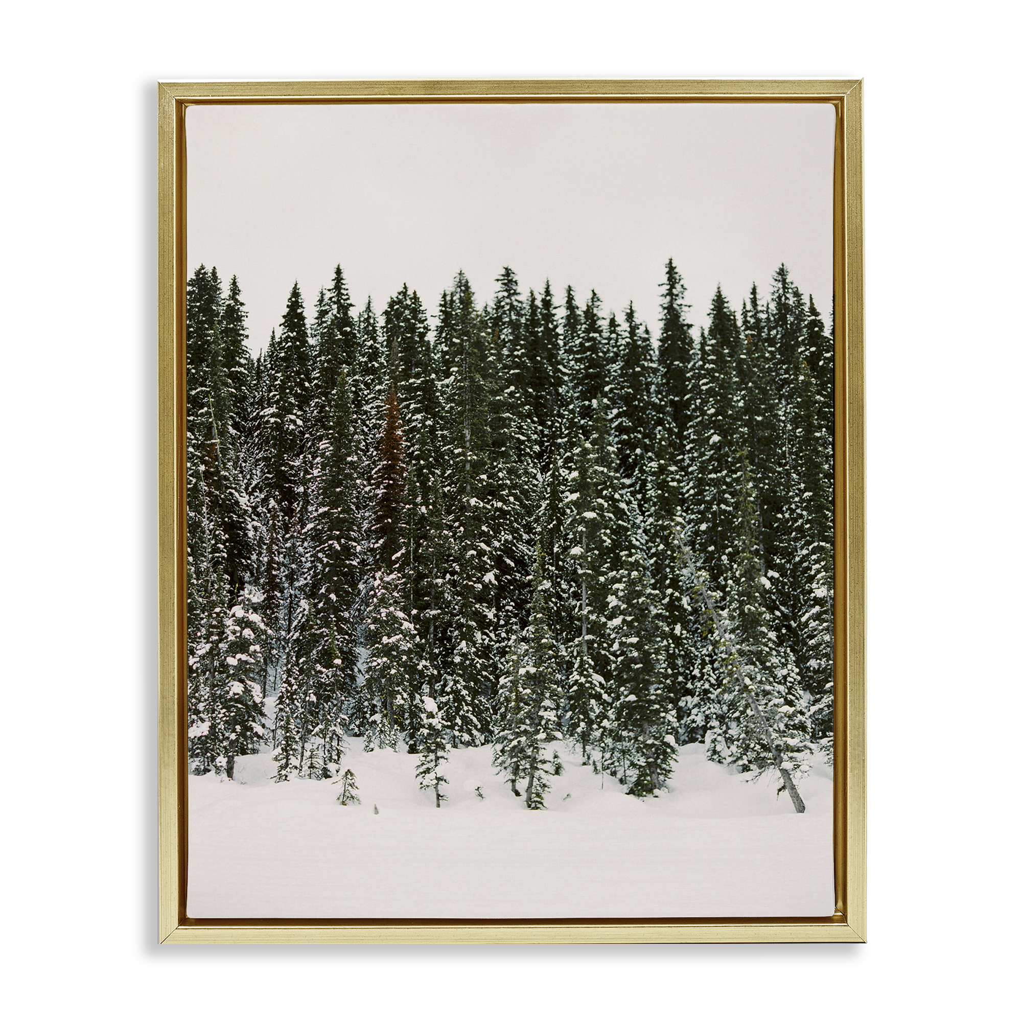 Stupell Industries Winter Forest Grove Landscape Photography Gold