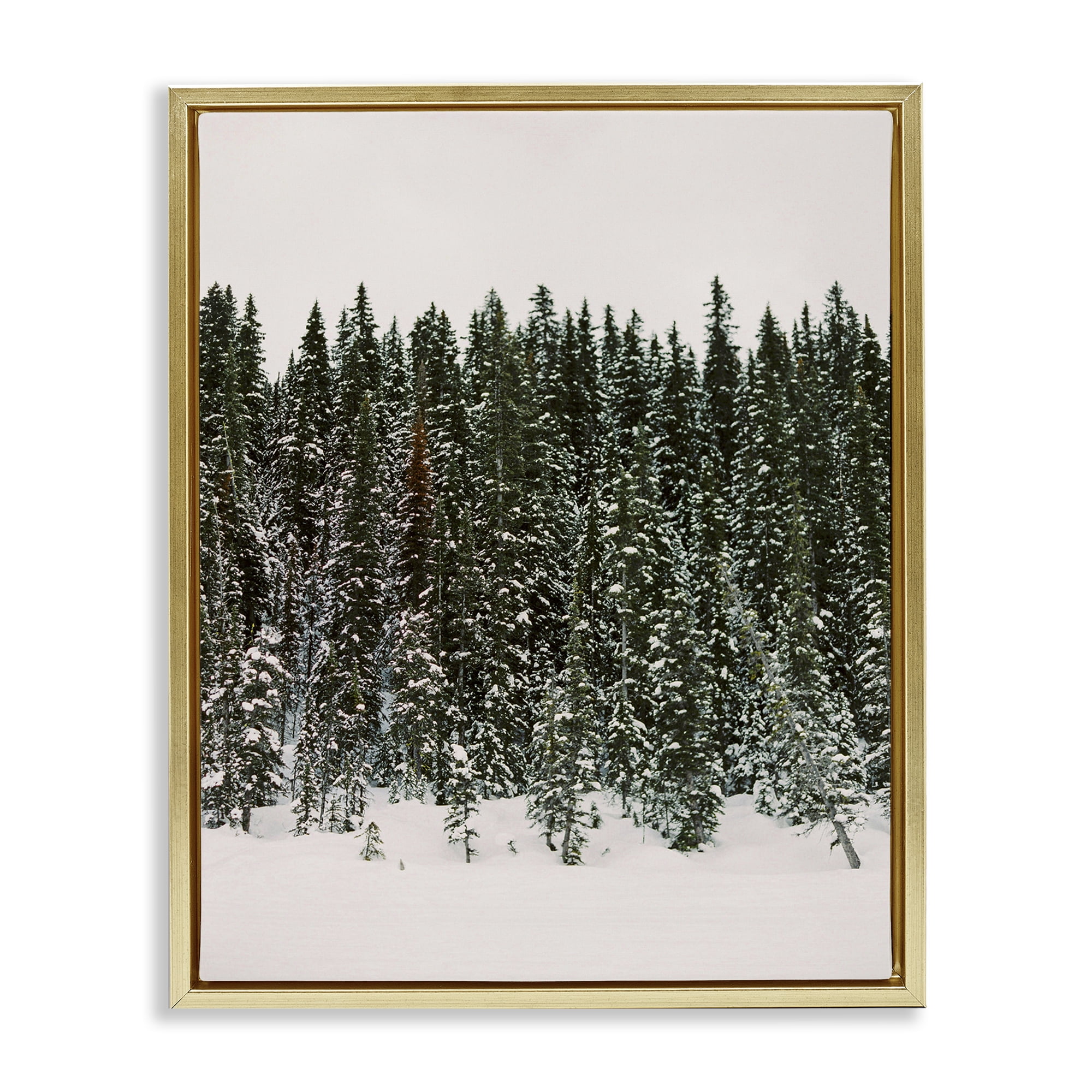 Stupell Industries Winter Forest Grove Landscape Photography Gold Floater Framed Art Print Wall Art, 25 x 31