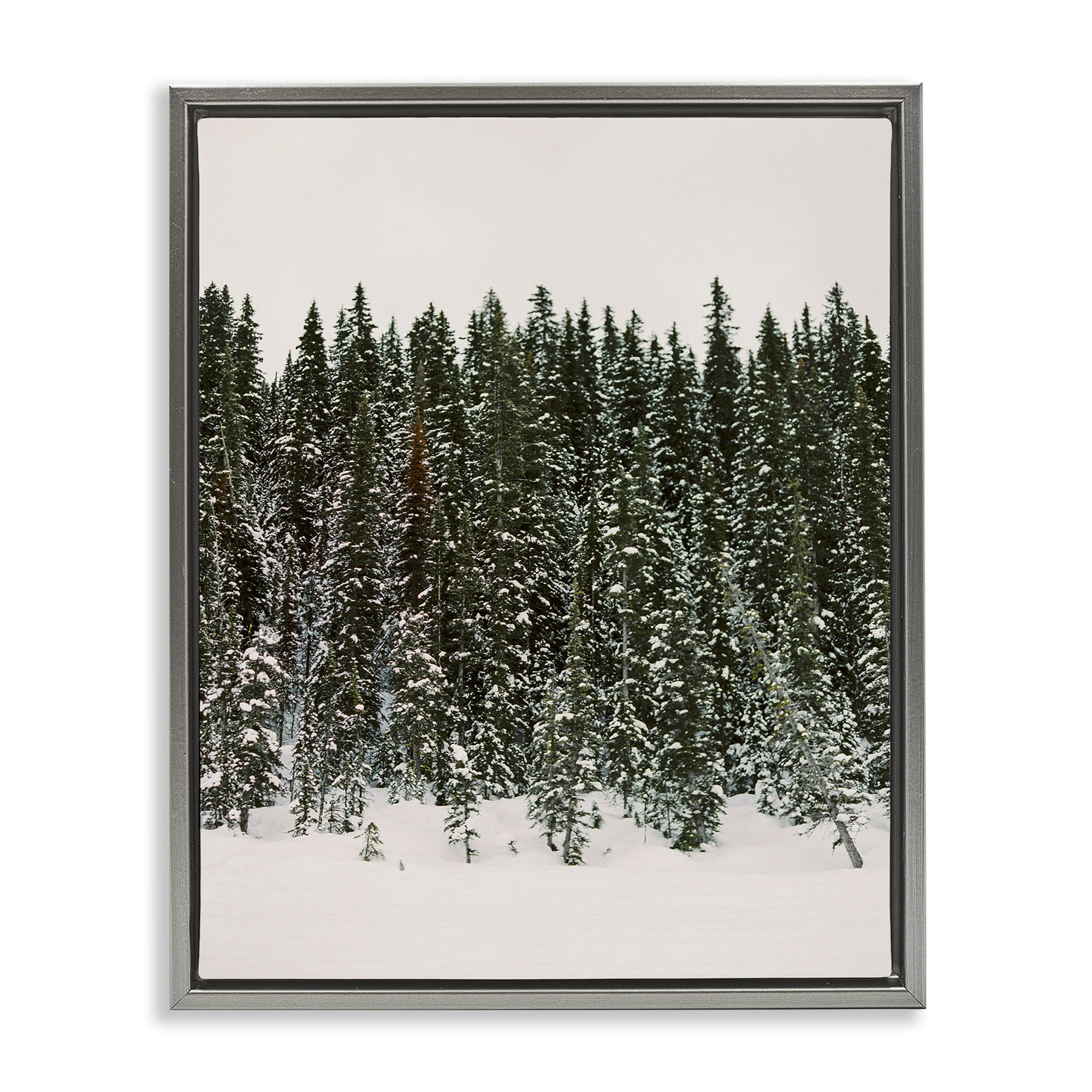 Stupell Industries Winter Forest Grove Landscape Photography Gray Floater Framed Art Print Wall Art, 25 x 31