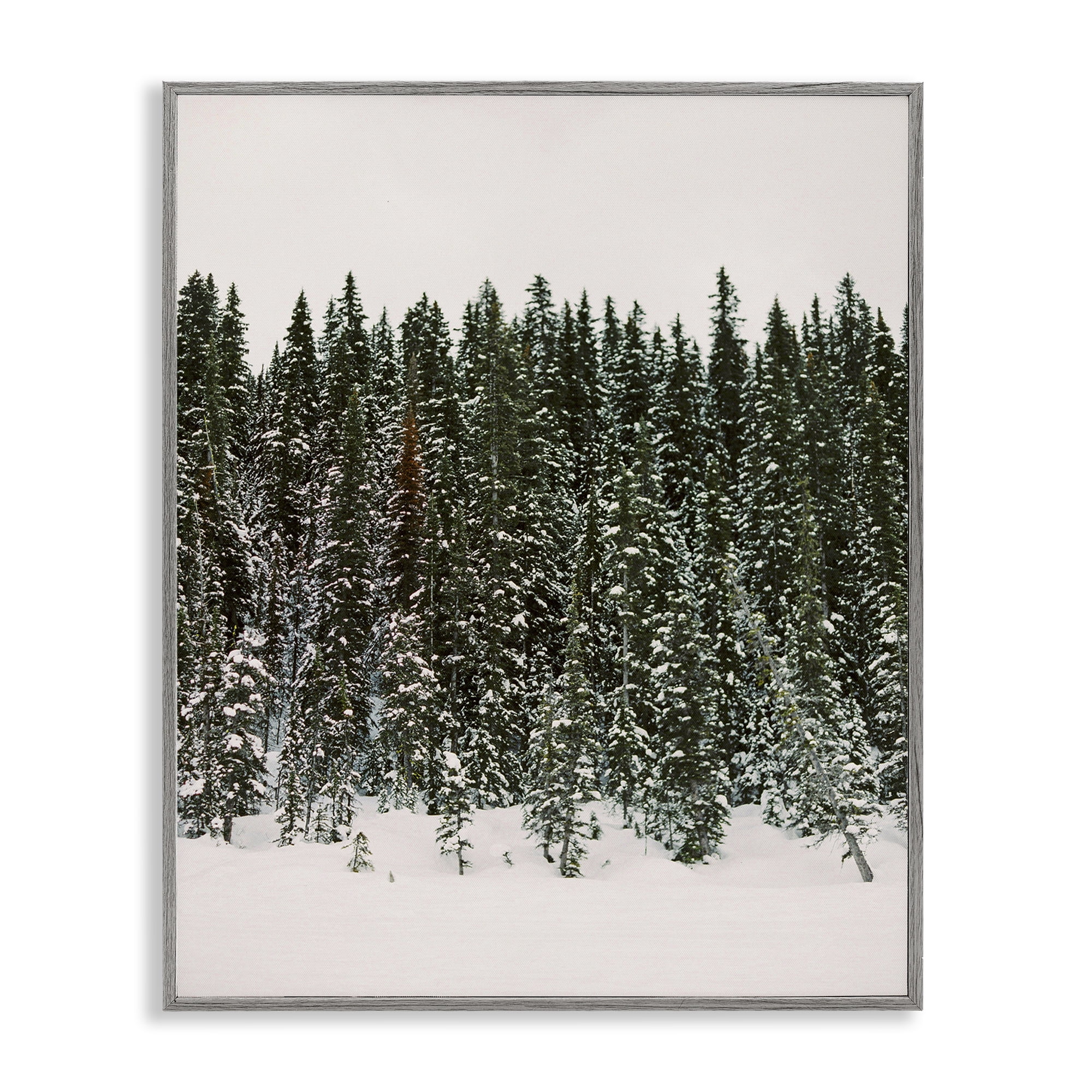 Stupell Industries Winter Forest Grove Landscape Photography Gray Framed Art Print Wall Art, 11 x 14