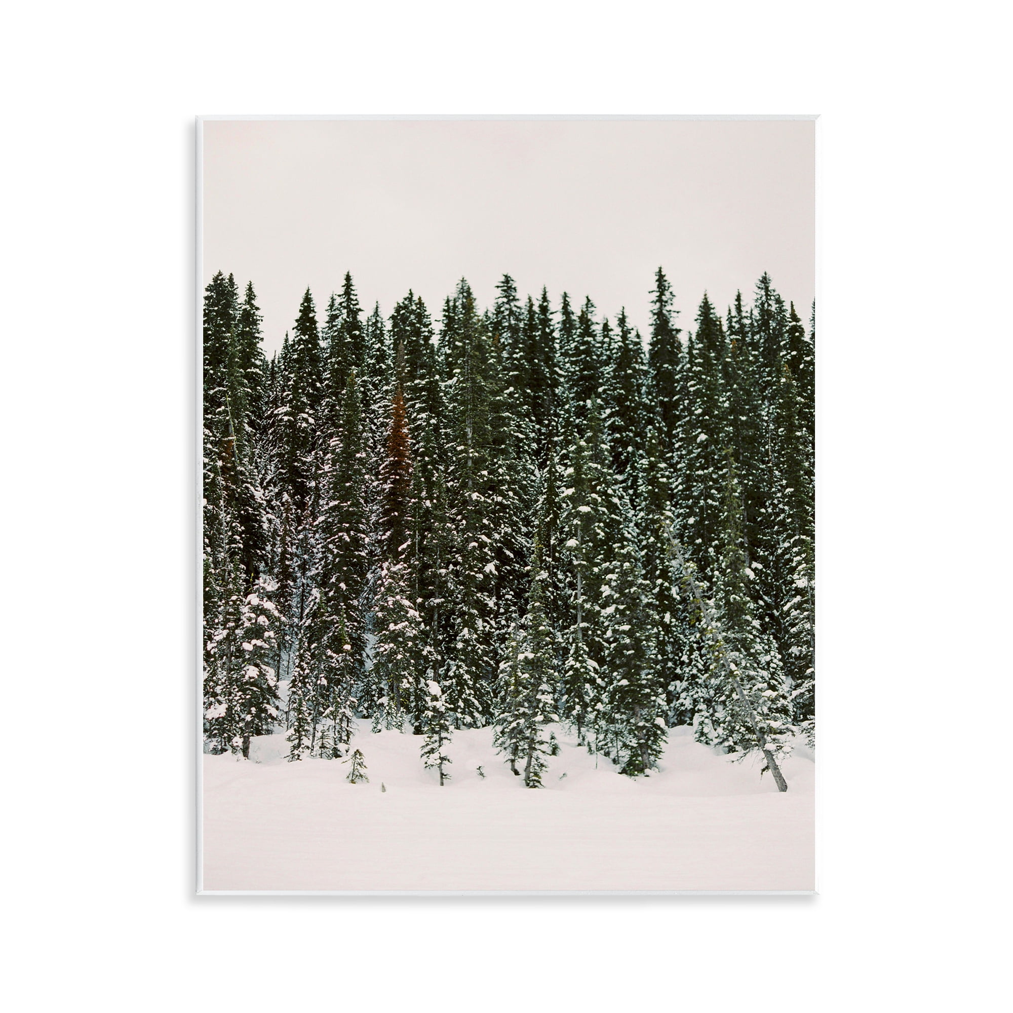 Stupell Industries Winter Forest Grove Landscape Photography Unframed Art Print Wall Art, 11 x 14
