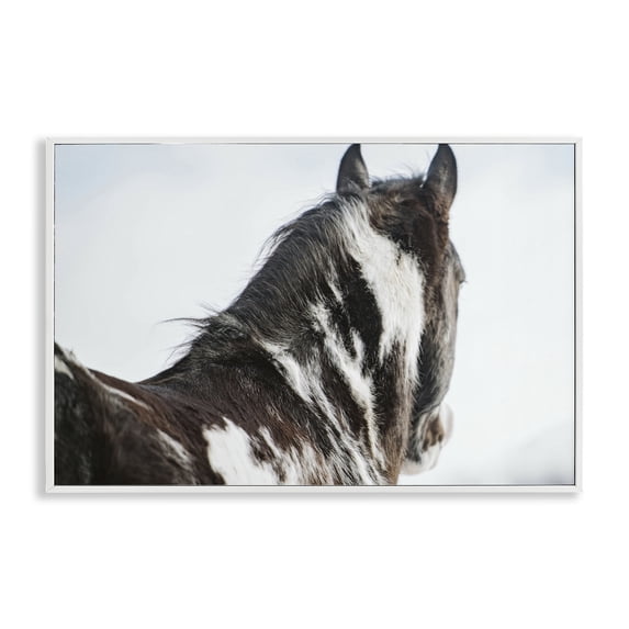 Stupell Industries Winter Herd Horse Portrait White Framed Giclee Art design by Amy Carroll, 20 x 30