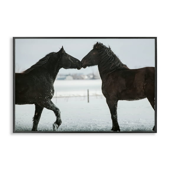 Stupell Industries Winter Horse Pair Black Framed Giclee Art design by Amy Carroll, 12 x 18
