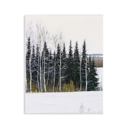 Stupell Industries Winter Landscape Grove Wall Plaque Art, design by Arlington Prints