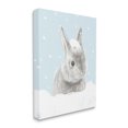 thumbnail image 1 of Stupell Industries Winter Rabbit in Snow Pile Forest Animal Animals & Insects Painting Gallery Wrapped Canvas Print Wall Art, 36 x 48, 1 of 6