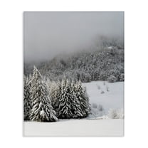 Winter Snowscape Woodland Trees Canvas Art, 36 x 48, Made In USA