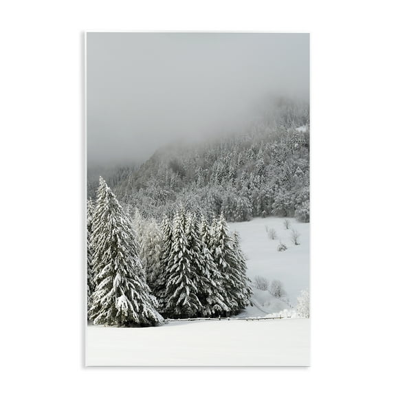 Winter Snowscape Woodland Trees Wall Plaque Art, 13 x 19, Made In USA