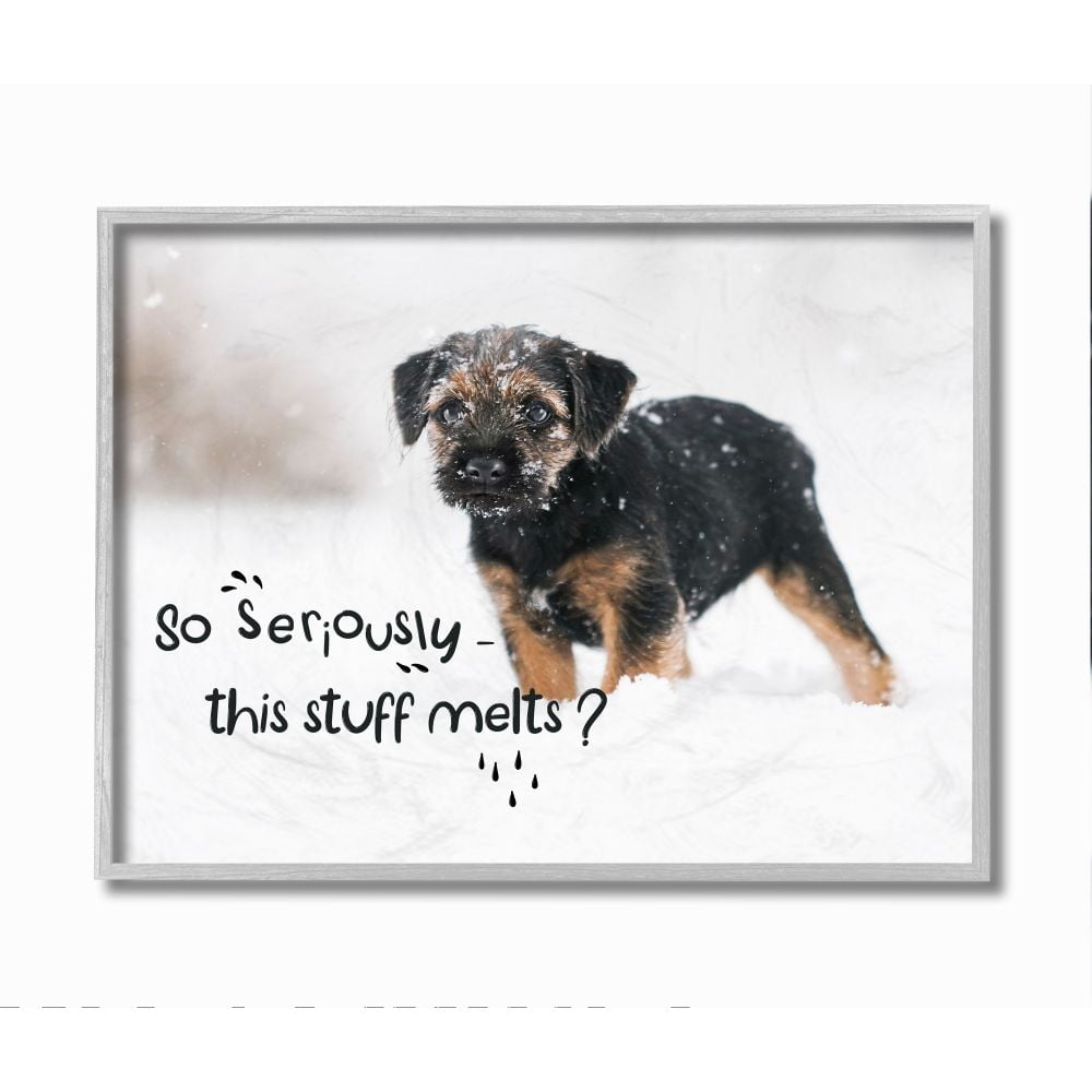 Stupell Industries Winter Time Snow Puppy Seasonal Humor House Pet Framed Wall Art Design by Ziwei Li, 11" x 14", Gray Framed