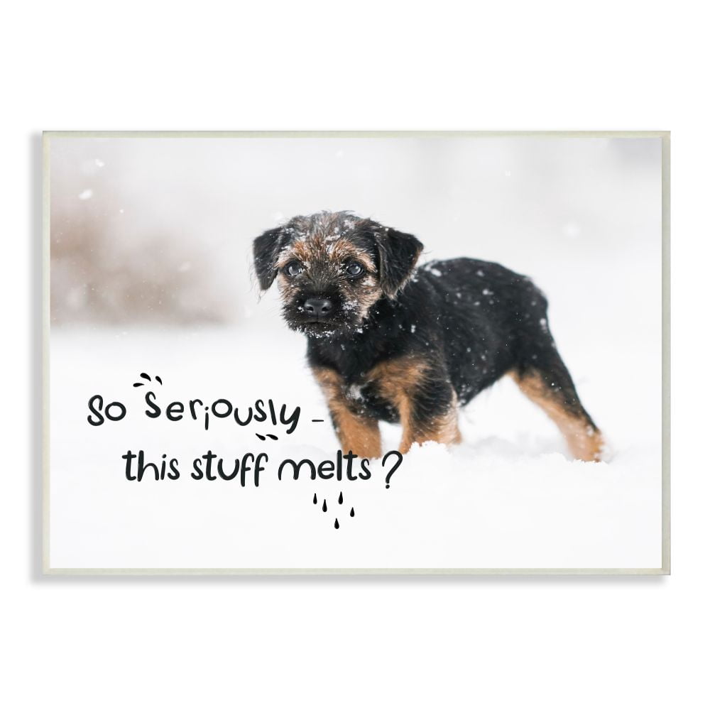 Stupell Industries Winter Time Snow Puppy Seasonal Humor House Pet Wall Plaque Design by Ziwei Li