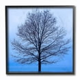 thumbnail image 1 of Stupell Industries Winter Tree Blue Sky Landscape Photograph Black Framed Art Print Wall Art, 12x12, by James McLoughlin, 1 of 6