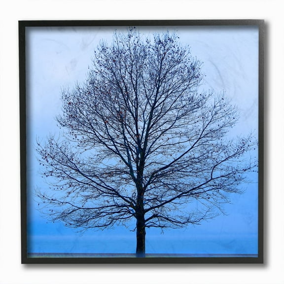Stupell Industries Winter Tree Blue Sky Landscape Photograph Black Framed Art Print Wall Art, 12x12, by James McLoughlin