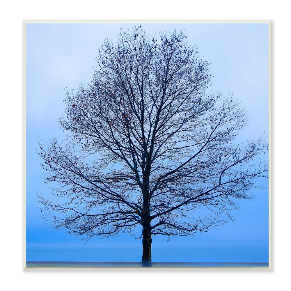 Stupell Industries Winter Tree Blue Sky Landscape Photograph Wall Plaque by James McLoughlin