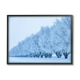 thumbnail image 1 of Stupell Industries Winter Tree Grove Snow Covered Branches Photography Photograph Black Framed Art Print Wall Art, Design by Steve Smith, 1 of 5