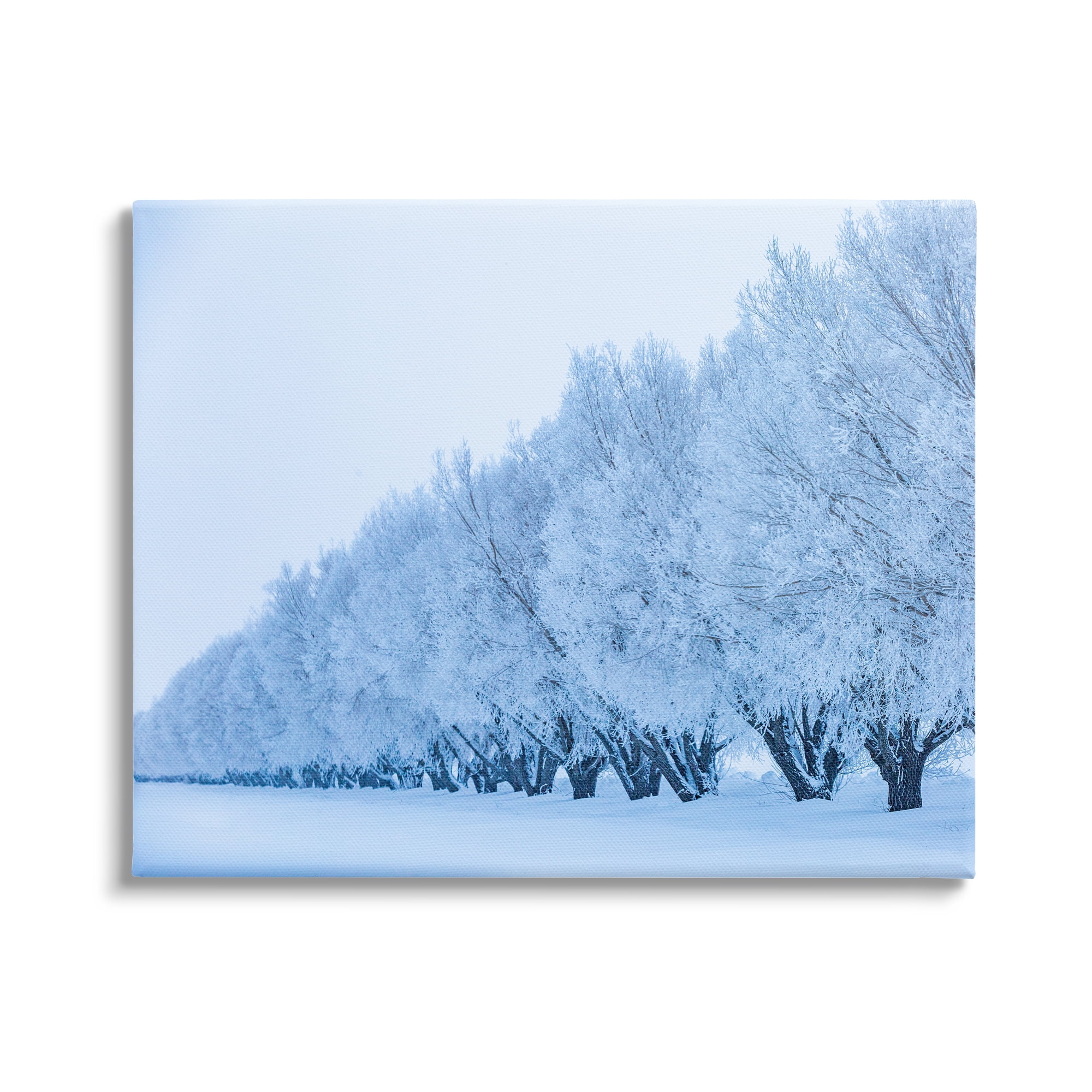 Stupell Industries Winter Tree Grove Snow Covered Branches Photography Photograph Gallery Wrapped Canvas Print Wall Art, Design by Steve Smith