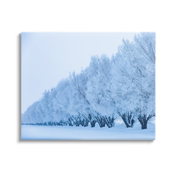 Stupell Industries Winter Tree Grove Snow Covered Branches Photography Photograph Gallery Wrapped Canvas Print Wall Art, Design by Steve Smith