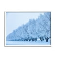 thumbnail image 1 of Stupell Industries Winter Tree Grove Snow Covered Branches Photography Photograph White Framed Art Print Wall Art, Design by Steve Smith, 1 of 5