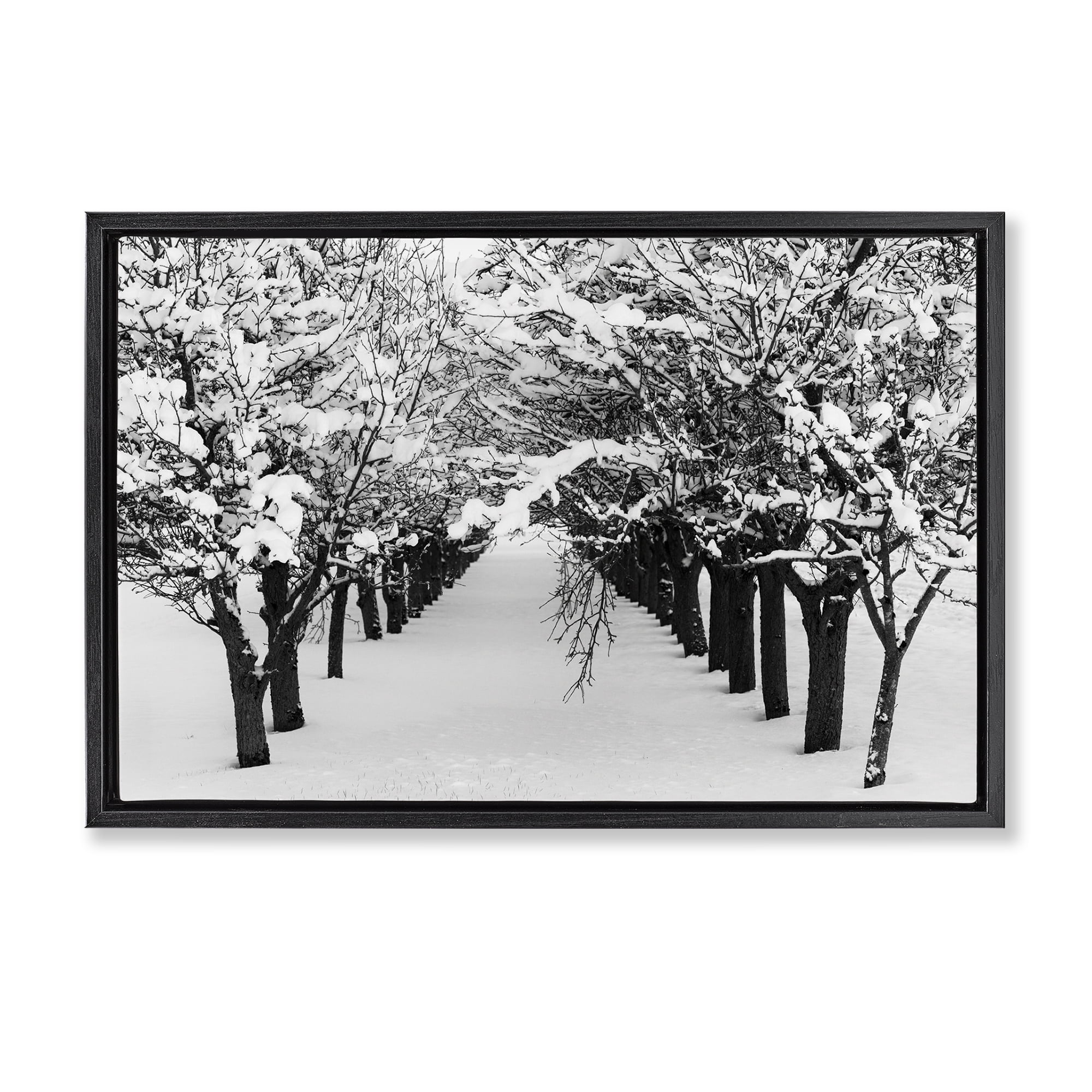 Stupell Industries Winter Tree Pathway Landscape & Nature Photography Black Floater Framed Canvas Art Print Wall Art, 25 x 17