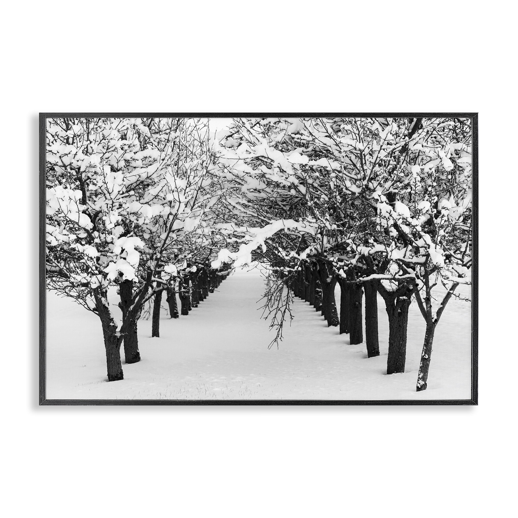 Stupell Industries Winter Tree Pathway Landscape & Nature Photography Black Framed Art Print Wall Art, 30 x 20