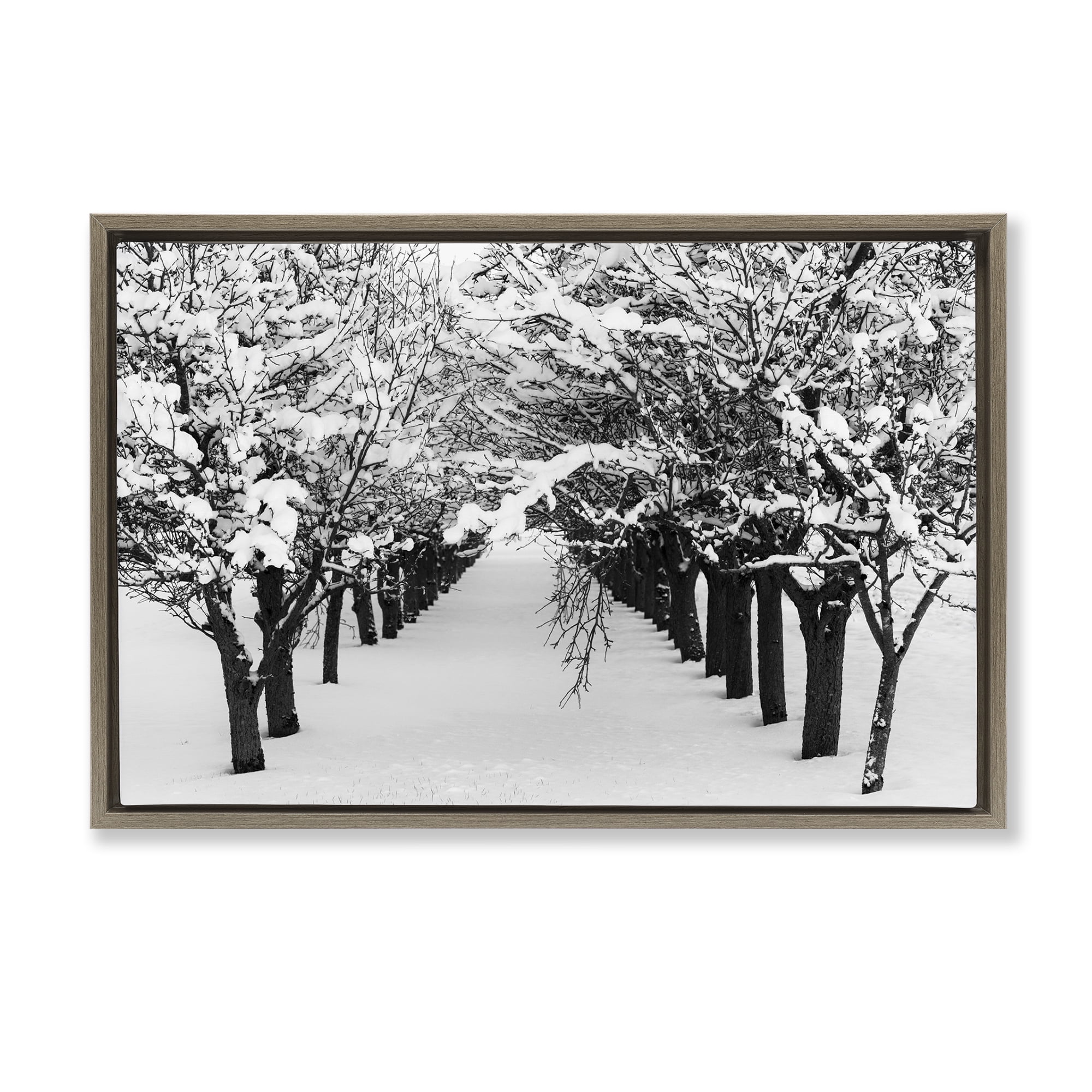 Stupell Industries Winter Tree Pathway Landscape & Nature Photography Brown Floater Framed Canvas Art Print Wall Art, 31 x 21