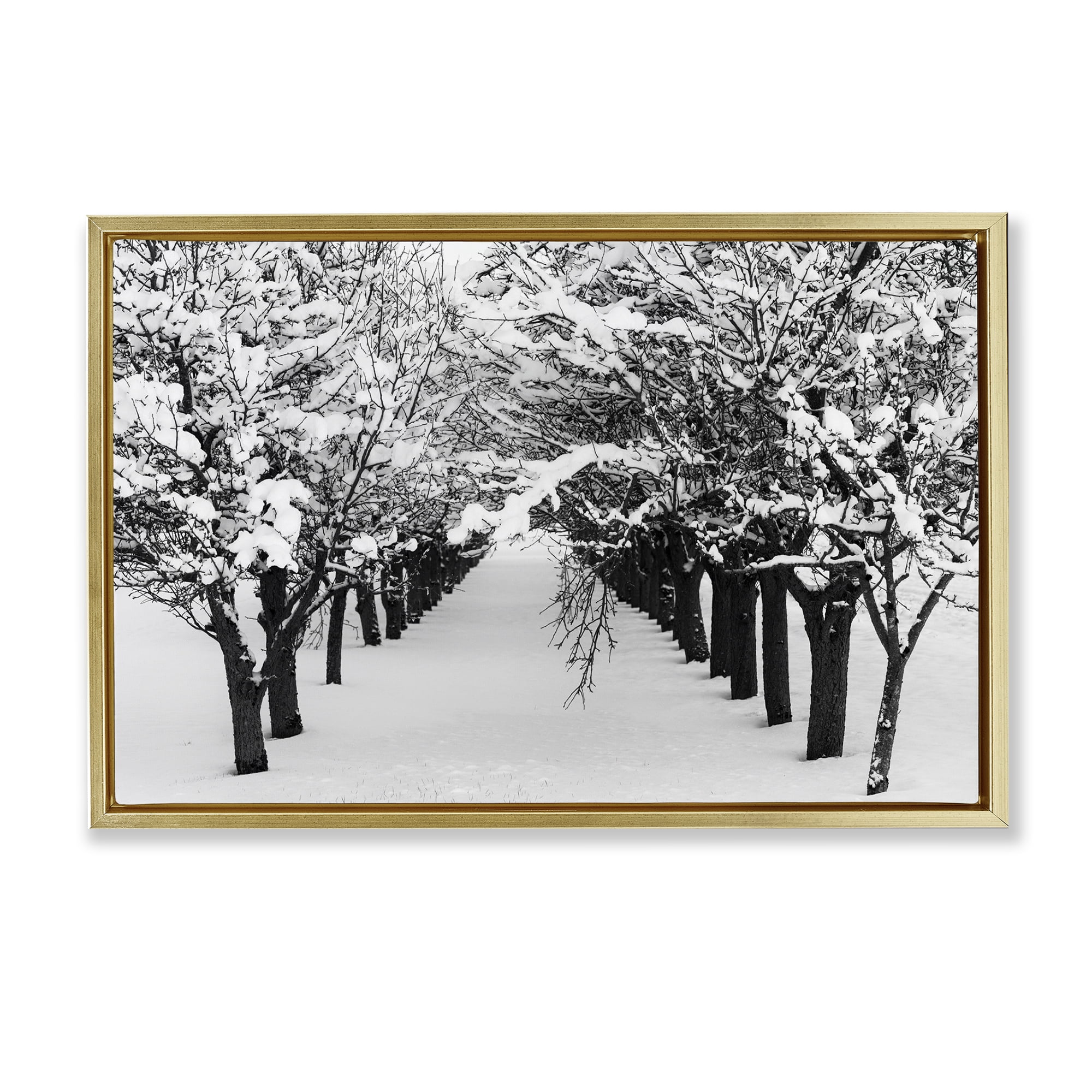 Stupell Industries Winter Tree Pathway Landscape & Nature Photography Gold Floater Framed Canvas Art Print Wall Art, 31 x 21