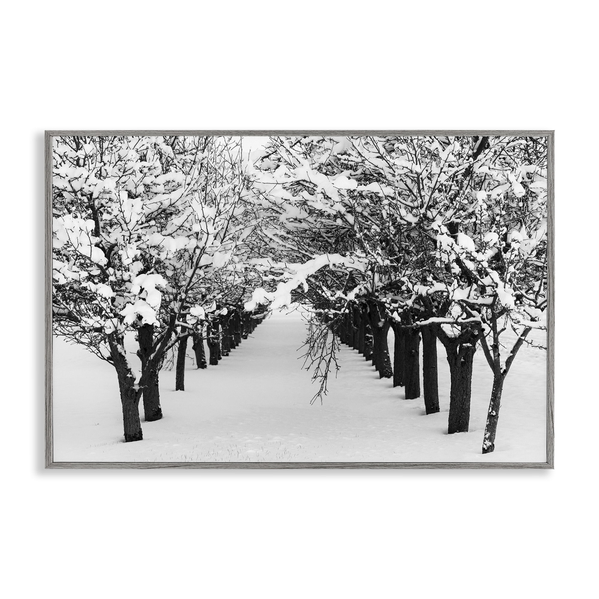 Stupell Industries Winter Tree Pathway Landscape & Nature Photography Gray Framed Art Print Wall Art, 30 x 20