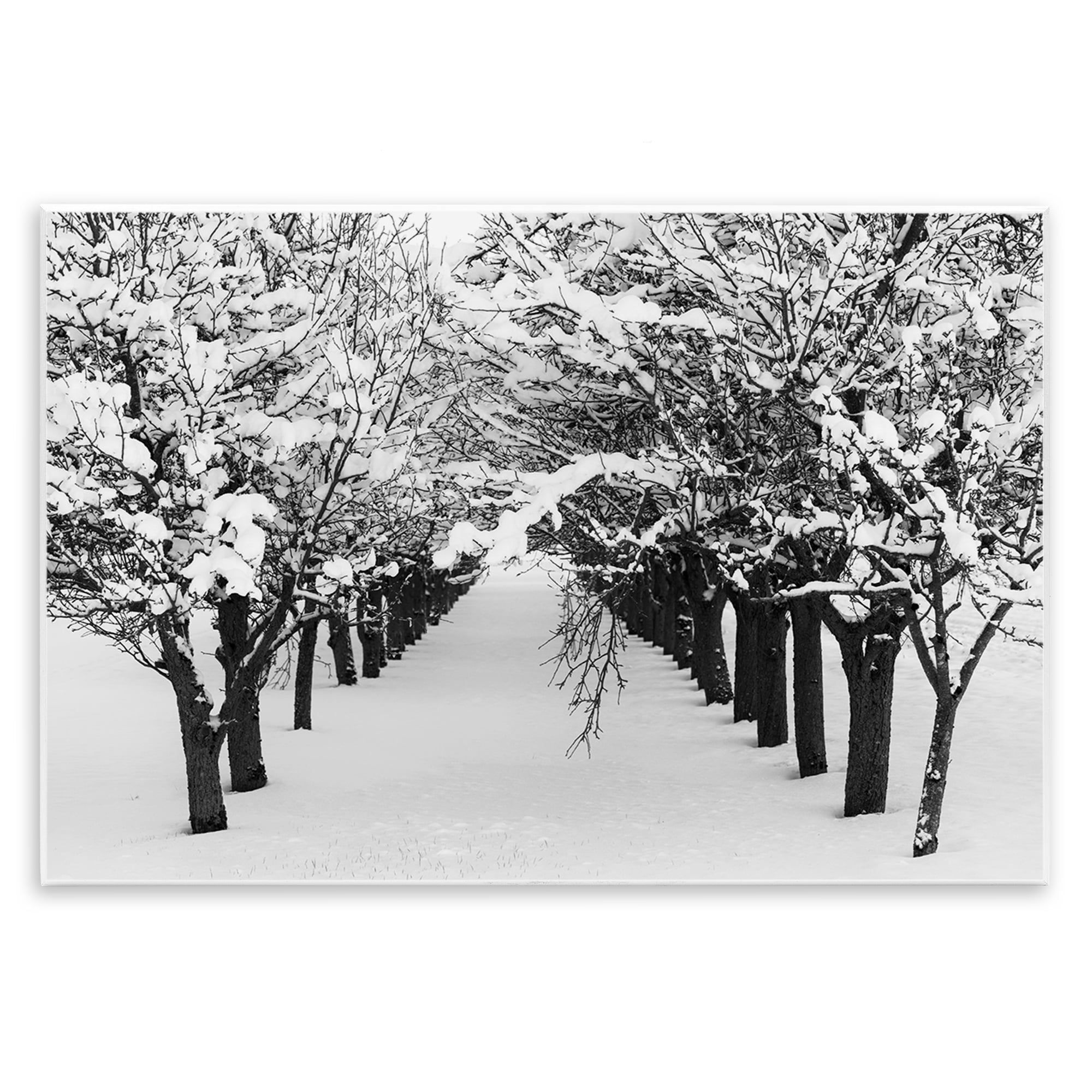 Stupell Industries Winter Tree Pathway Landscape & Nature Photography Unframed Art Print Wall Art, 15 x 10