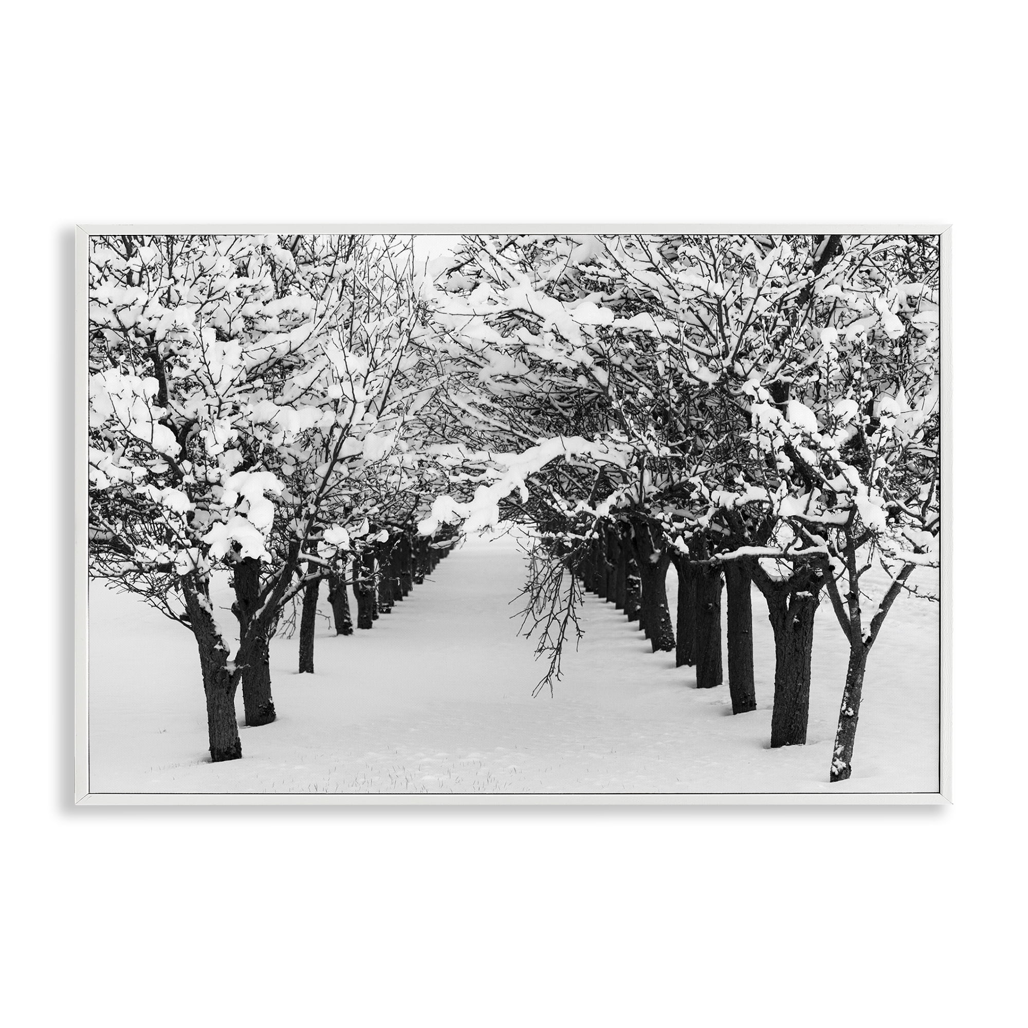 Stupell Industries Winter Tree Pathway Landscape & Nature Photography White Framed Art Print Wall Art, 18 x 12