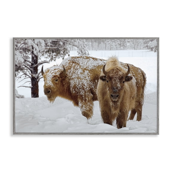 Stupell Industries Farmhouse Winter White Bison Gray Framed Giclee Art, 30 x 20, by Mike Jones