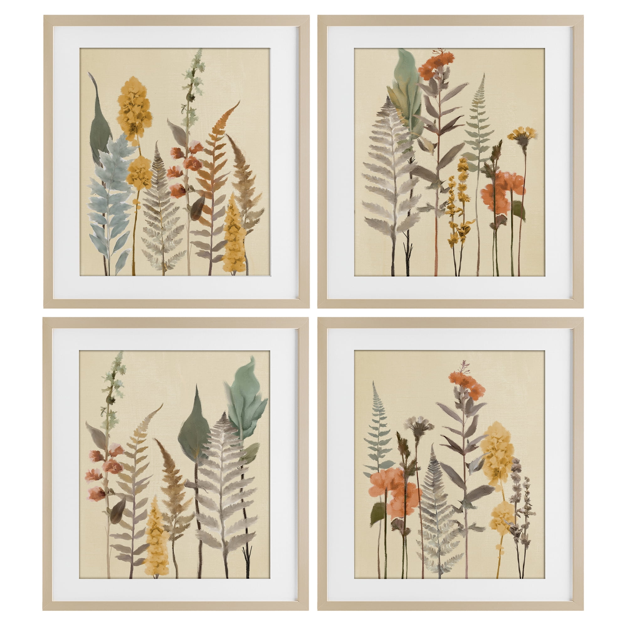 Stupell Industries Wispy Earthy Botanicals 4 Piece Birch Framed Print Under Glass Set, design by Elizabeth Medley