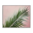 thumbnail image 1 of Stupell Industries Wispy Palm Leaf on Pink Plants & Flowers Painting Gray Framed Art Print Wall Art, 14 x 11, 1 of 2