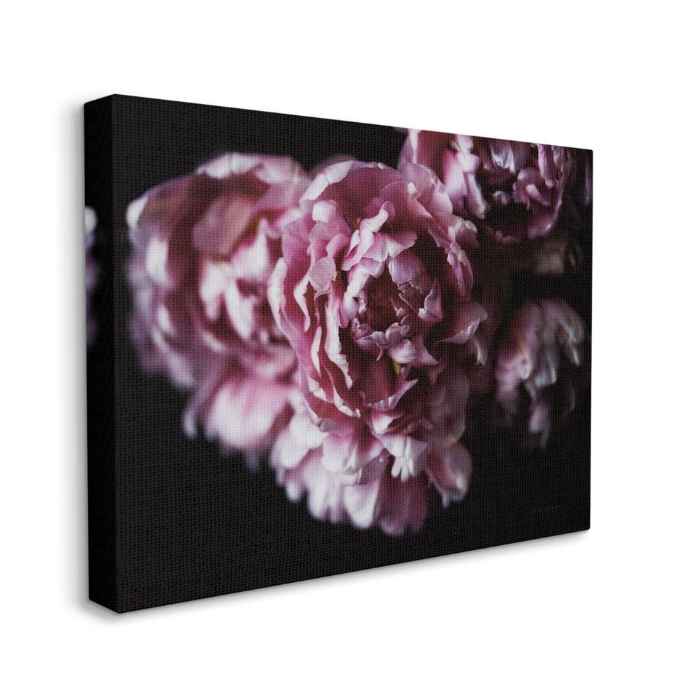 Stupell Industries Withered Pink Bouquet Up Close Minimal Photograph Canvas Wall Art Design by Elise Catterall, 36" x 48"